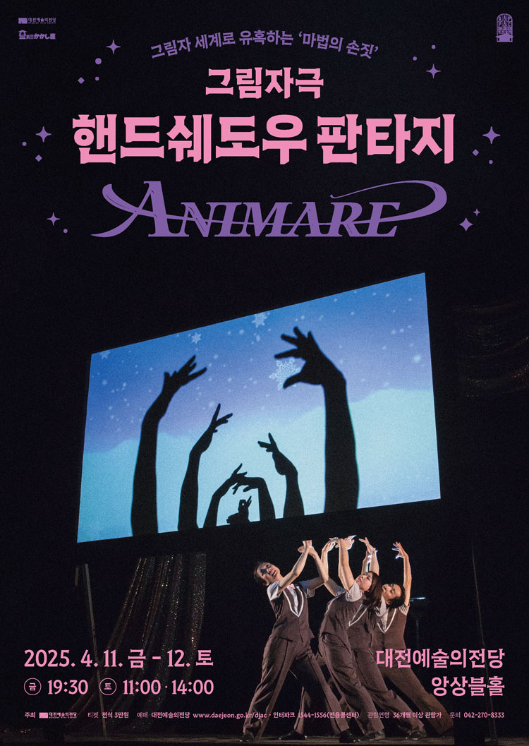 핸드쉐도우 판타지 ANIMARE [대전]