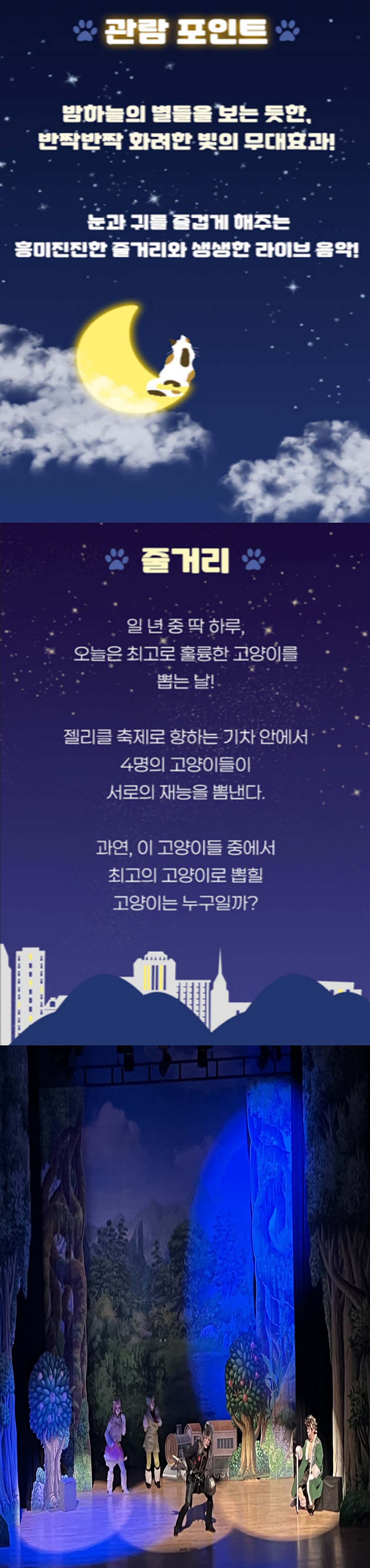 공연 소개