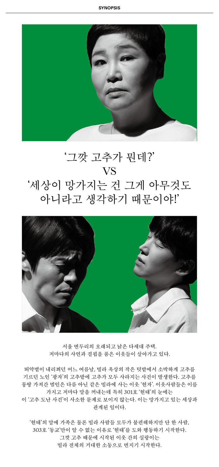 공연 소개