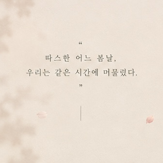 공연 소개